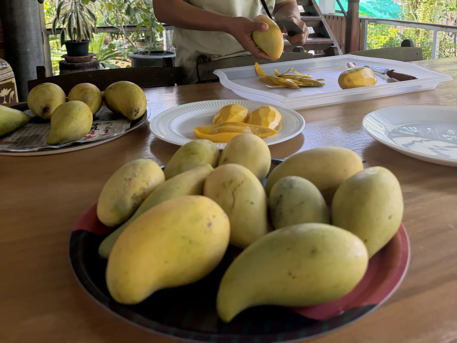 Bio-Garten · Swiss Baan Chiang