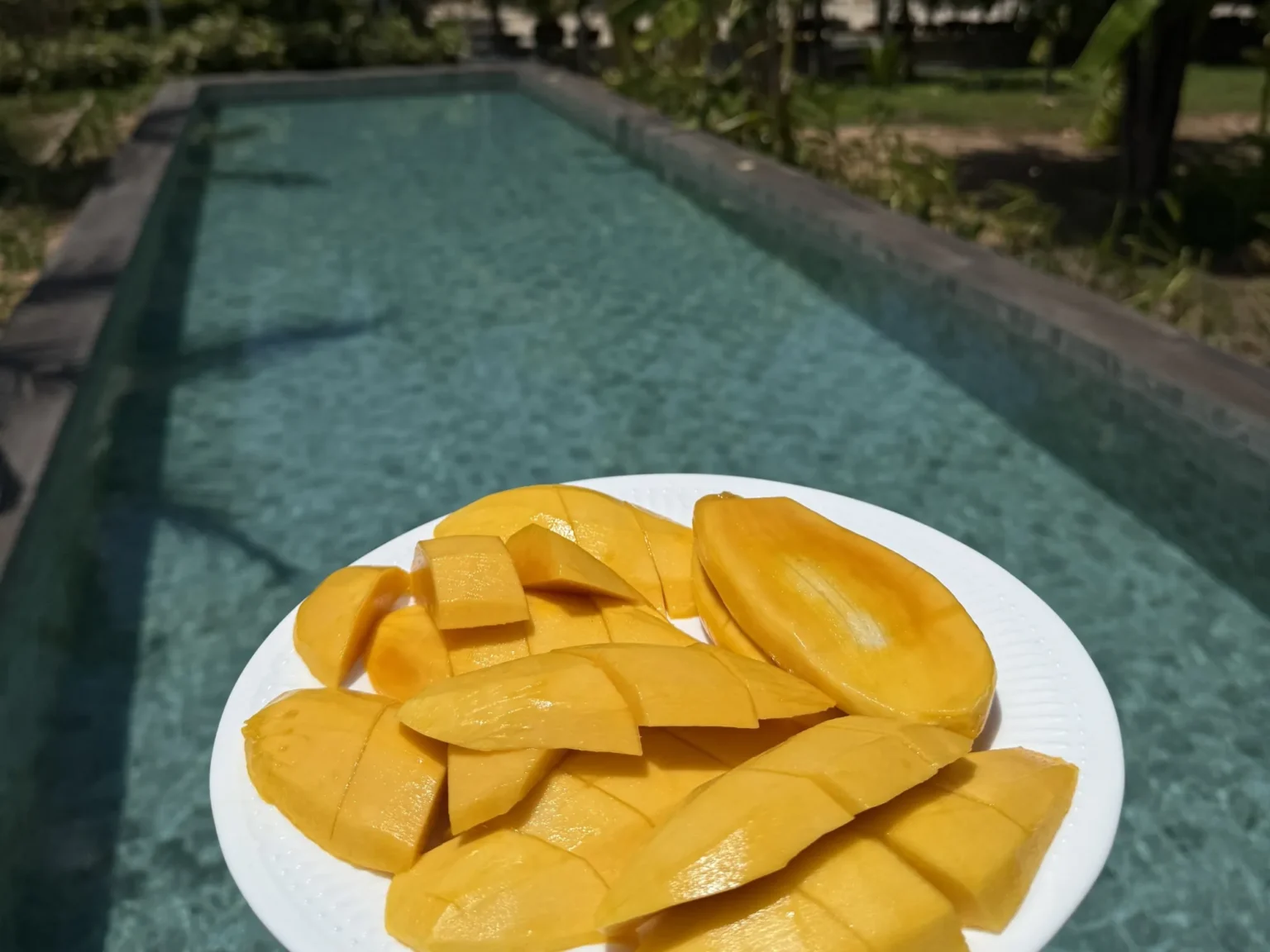 Bio-Garten · Swiss Baan Chiang
